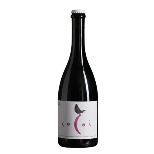 [FB-P02.2023] Fondo Bozzole - Cocai Petnat